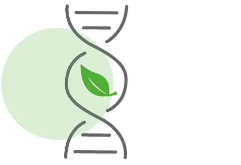 Sustainable DNA Icon